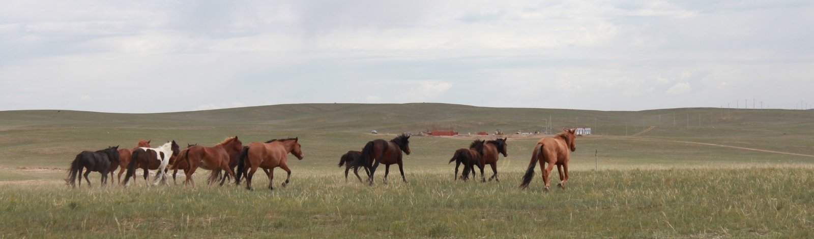 Hohhot Inner Mongolia