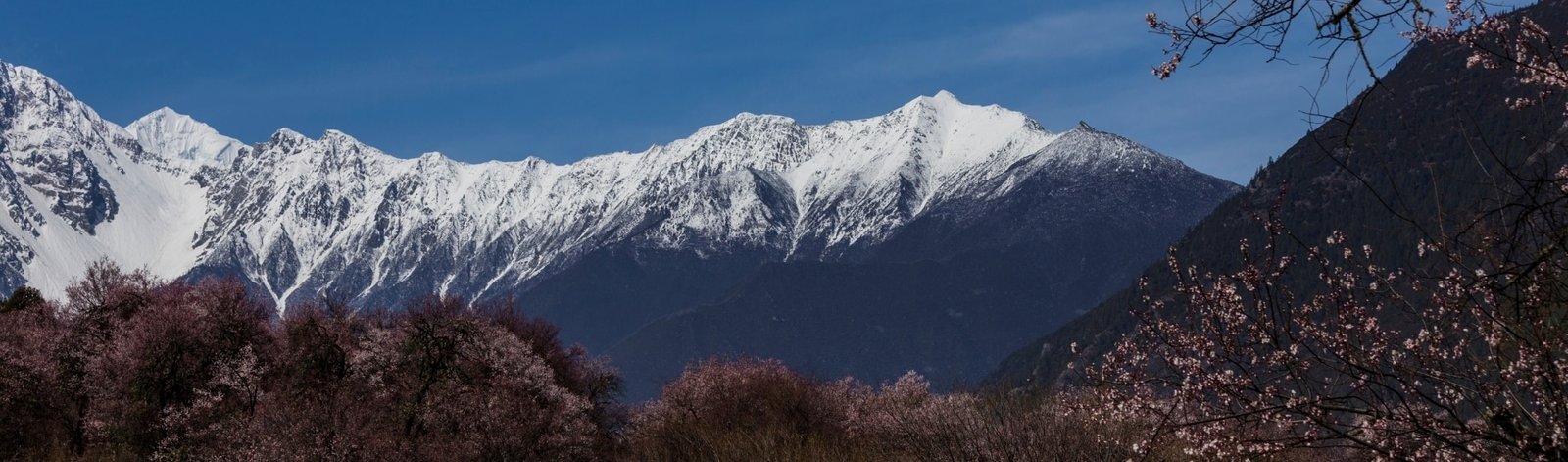 Nyingchi Tibet